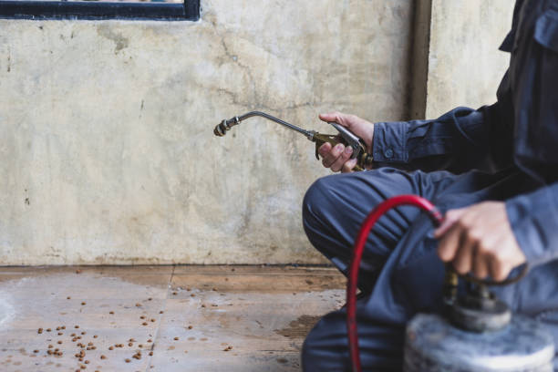 Best Pest Control for Businesses  in Heppner, OR